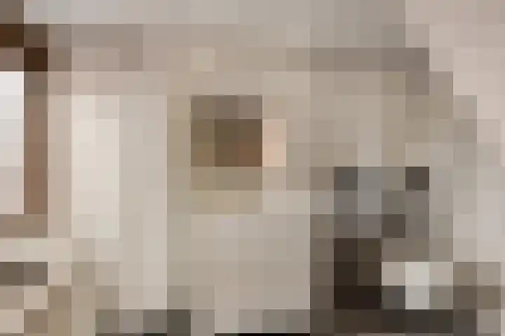 Populierweg 110 Maastricht thumbnail 24