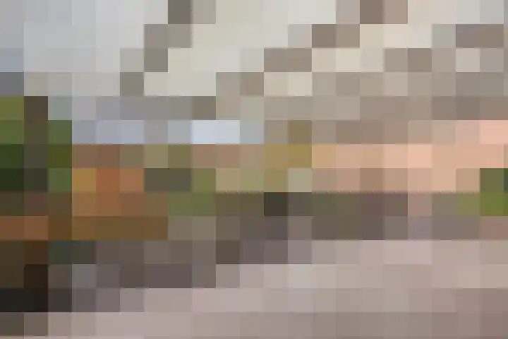 Populierweg 110 Maastricht thumbnail 27