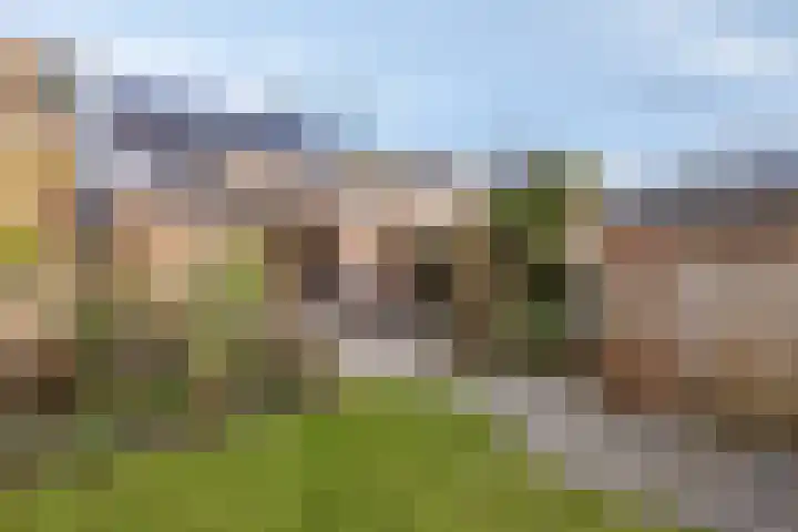 Populierweg 110 Maastricht thumbnail 29