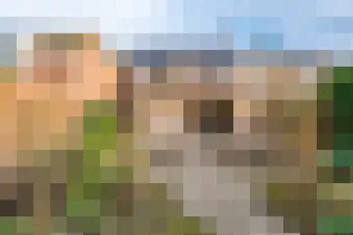 Populierweg 110 Maastricht thumbnail 30