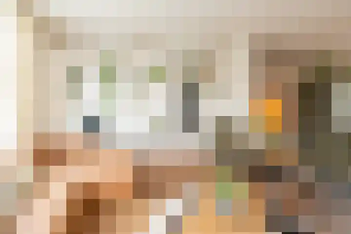 Populierweg 158 Maastricht thumbnail 11