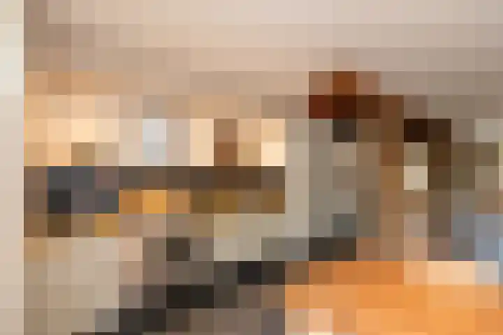 Populierweg 158 Maastricht thumbnail 17