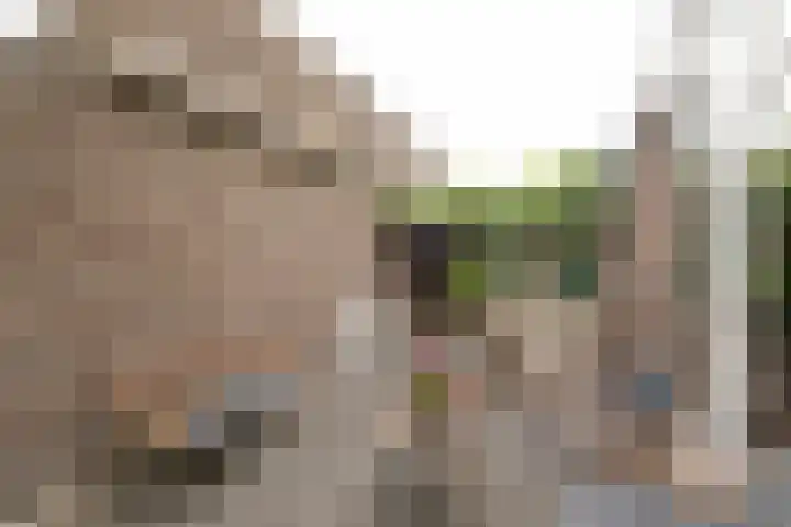 Populierweg 158 Maastricht thumbnail 21