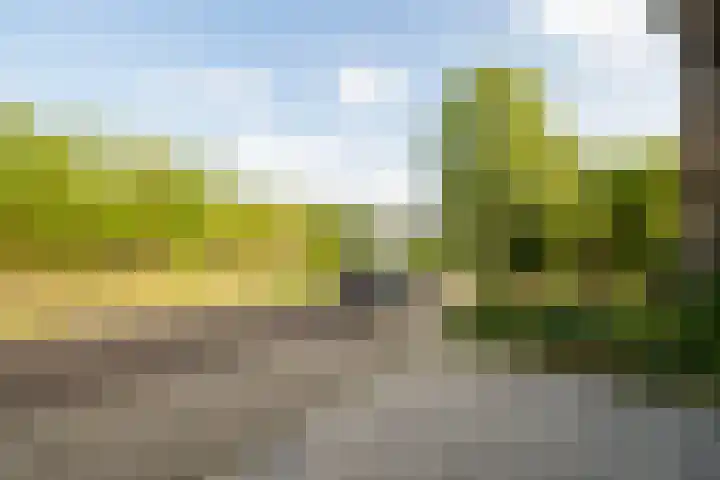 Populierweg 158 Maastricht thumbnail 4
