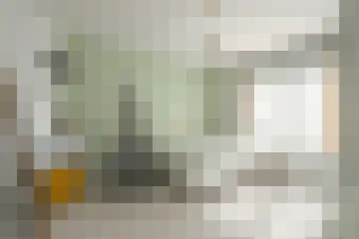 Populierweg 47 Maastricht thumbnail 11