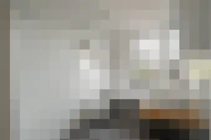 Populierweg 47 Maastricht thumbnail 15