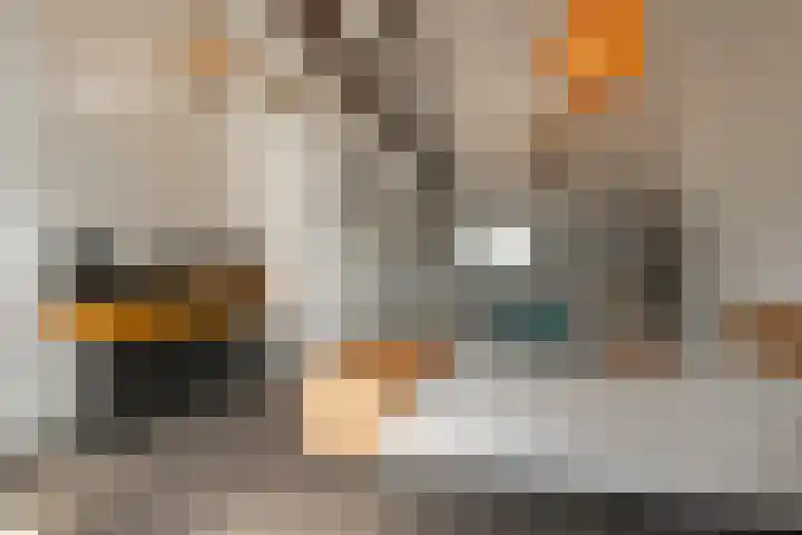 Populierweg 47 Maastricht thumbnail 18