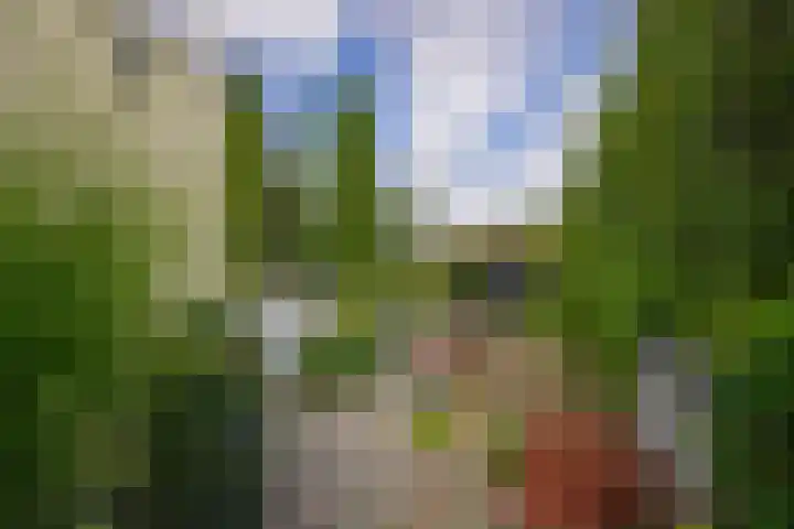 Populierweg 47 Maastricht thumbnail 20