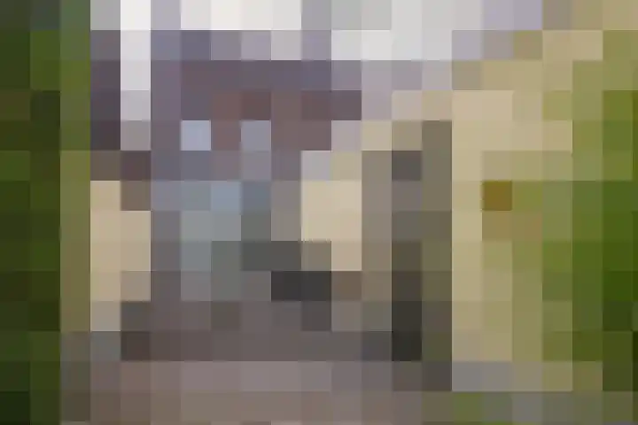 Populierweg 47 Maastricht thumbnail 23