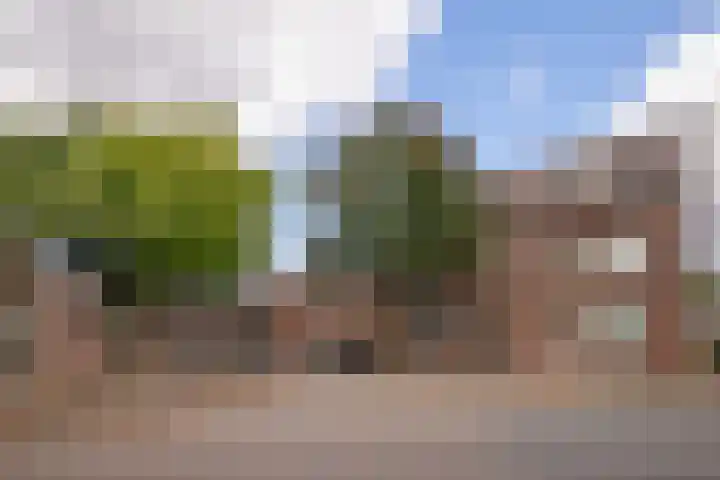 Populierweg 47 Maastricht thumbnail 25