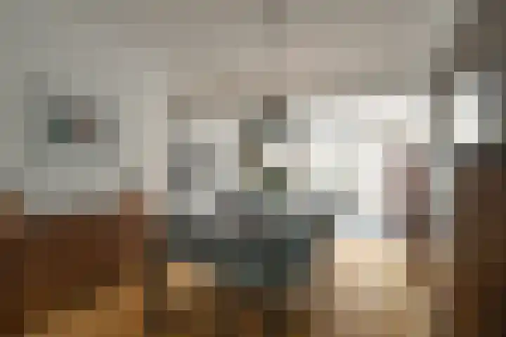 Populierweg 47 Maastricht thumbnail 6