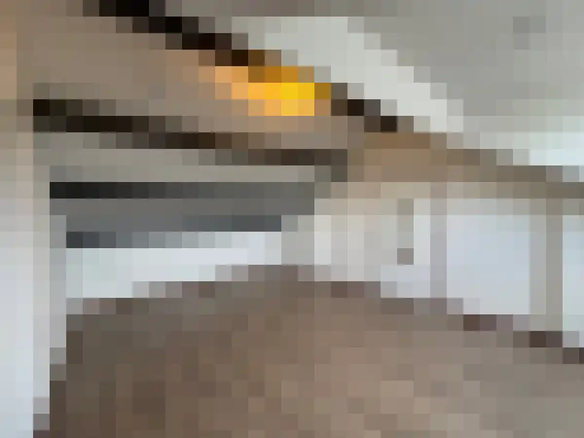 Populierweg 51 Maastricht thumbnail 4