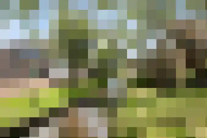 Populierweg 6 Watergang thumbnail 23