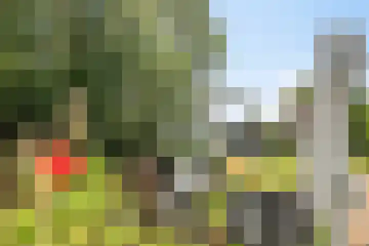 Populierweg 6 Watergang thumbnail 27