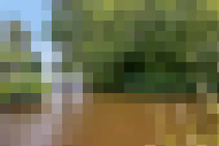 Populierweg 6 Watergang thumbnail 28