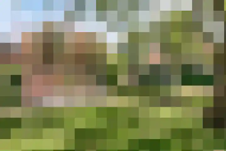 Populierweg 6 Watergang thumbnail 5