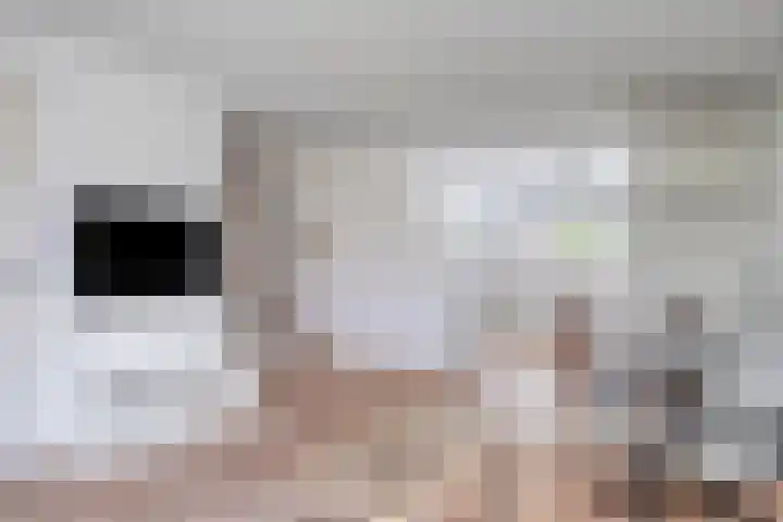 Populierweg 6 Watergang thumbnail 9