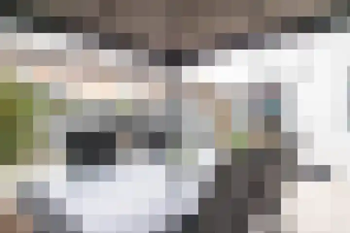 Populierweg 88 Maastricht thumbnail 33