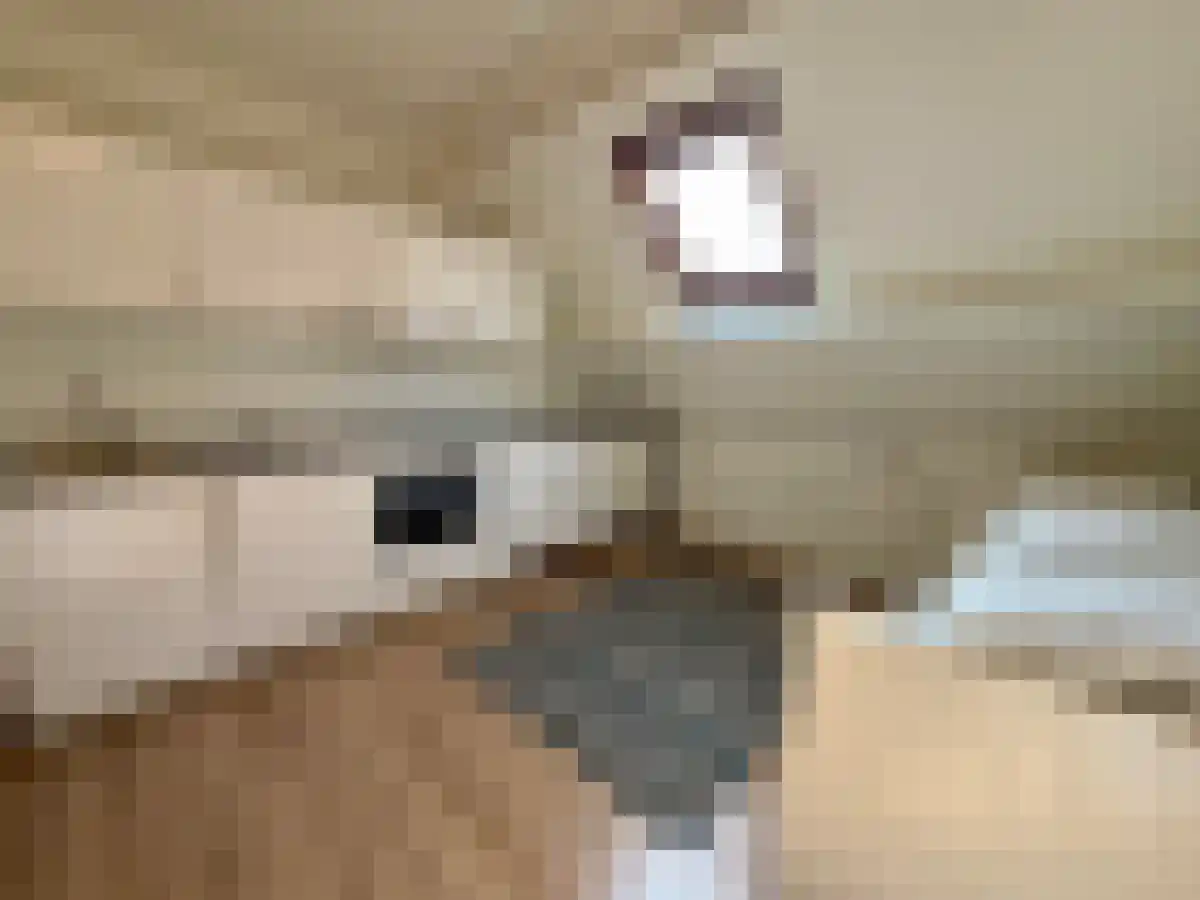 Populierweg Maastricht