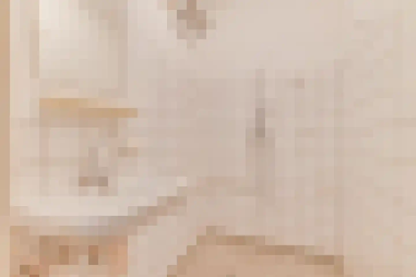 Porcellishof 32 Alkmaar thumbnail 19