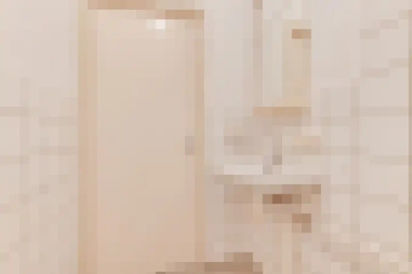 Porcellishof 32 Alkmaar thumbnail 20