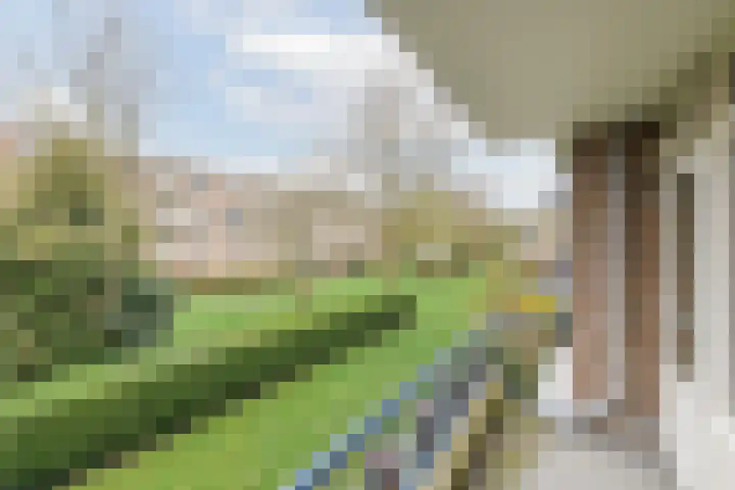 Porcellishof 32 Alkmaar thumbnail 25