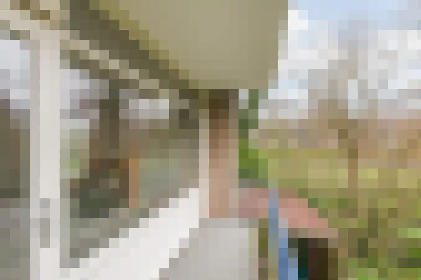 Porcellishof 32 Alkmaar thumbnail 26