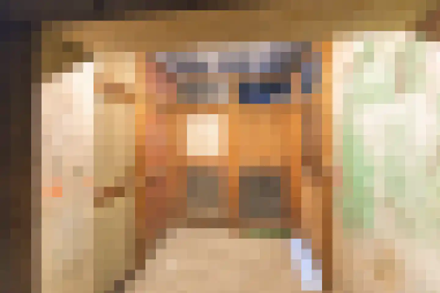 Porcellishof 32 Alkmaar thumbnail 27