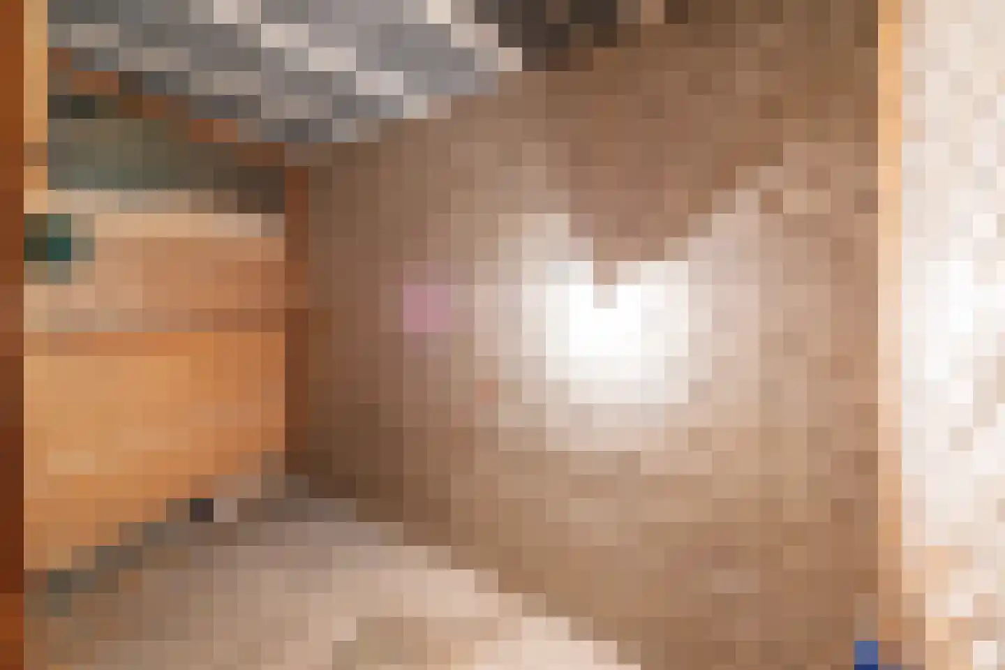 Porcellishof 32 Alkmaar thumbnail 28
