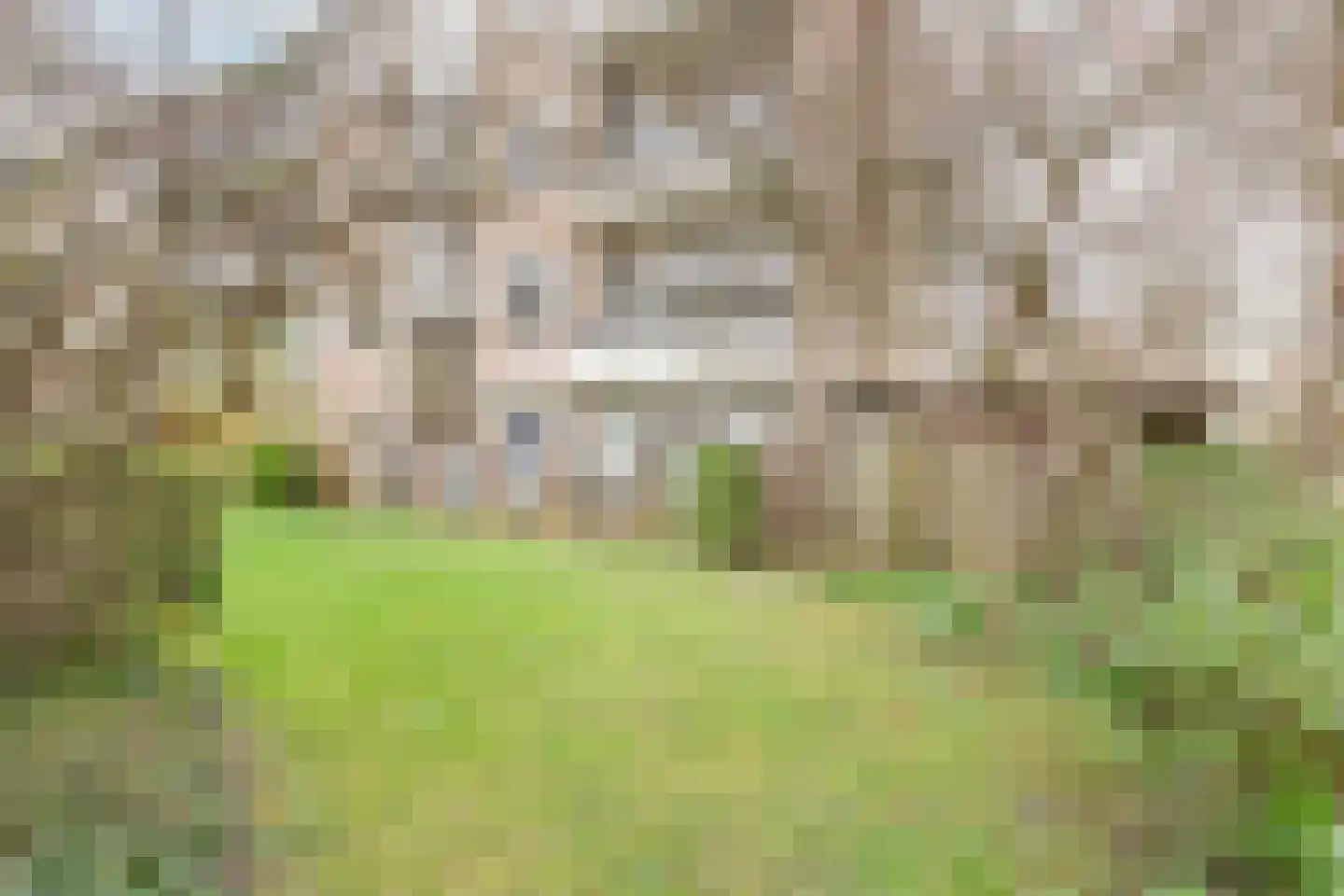 Porcellishof 32 Alkmaar thumbnail 33