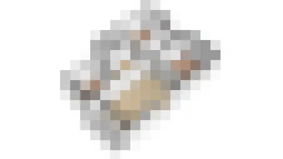 Porcellishof 32 Alkmaar thumbnail 36