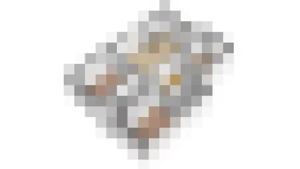 Porcellishof 32 Alkmaar thumbnail 37
