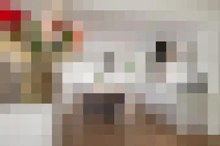 Porcellishof 50 Alkmaar thumbnail 10
