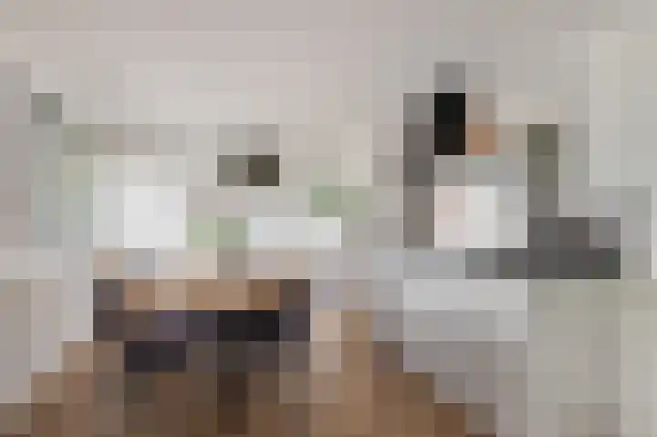 Porcellishof 50 Alkmaar thumbnail 11