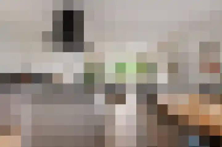 Porcellishof 50 Alkmaar thumbnail 13