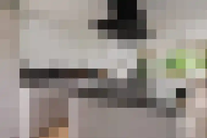 Porcellishof 50 Alkmaar thumbnail 14