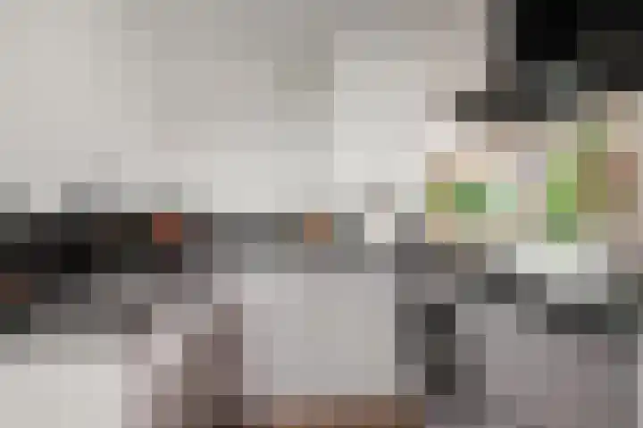 Porcellishof 50 Alkmaar thumbnail 15