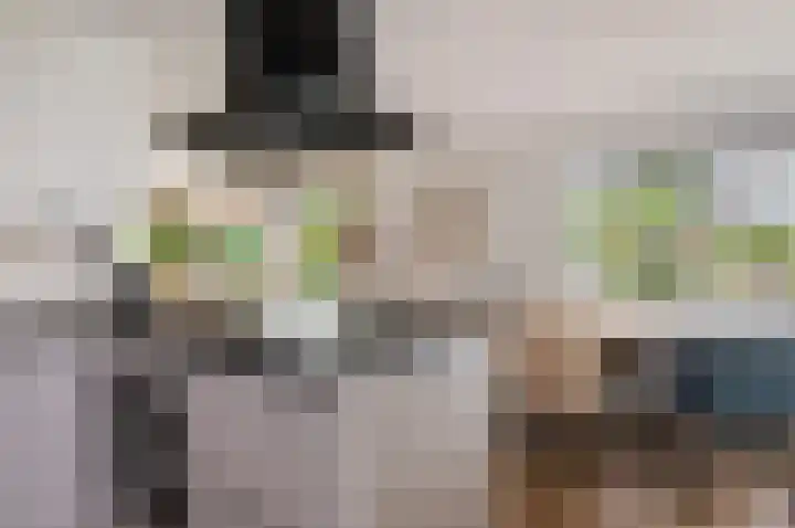 Porcellishof 50 Alkmaar thumbnail 16