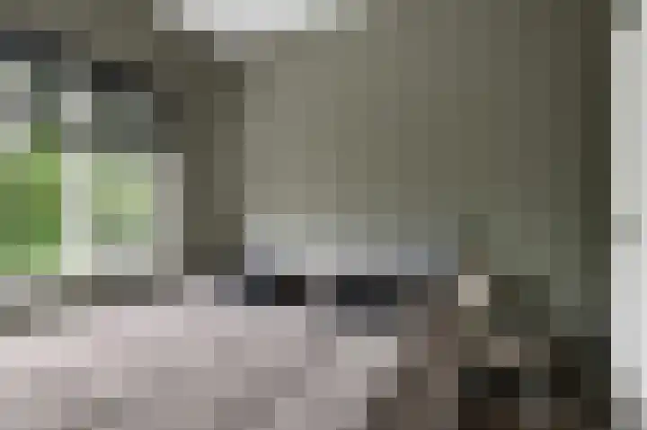 Porcellishof 50 Alkmaar thumbnail 20