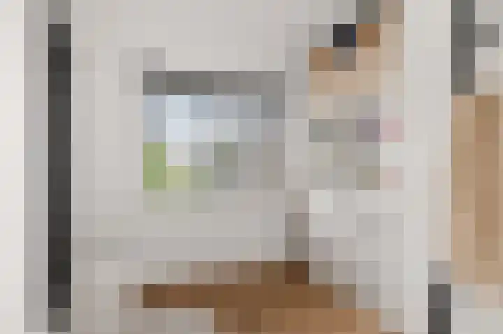 Porcellishof 50 Alkmaar thumbnail 22