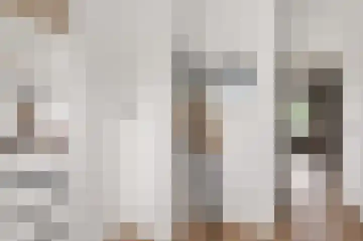 Porcellishof 50 Alkmaar thumbnail 23
