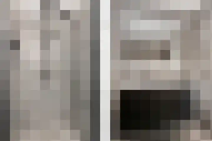 Porcellishof 50 Alkmaar thumbnail 24