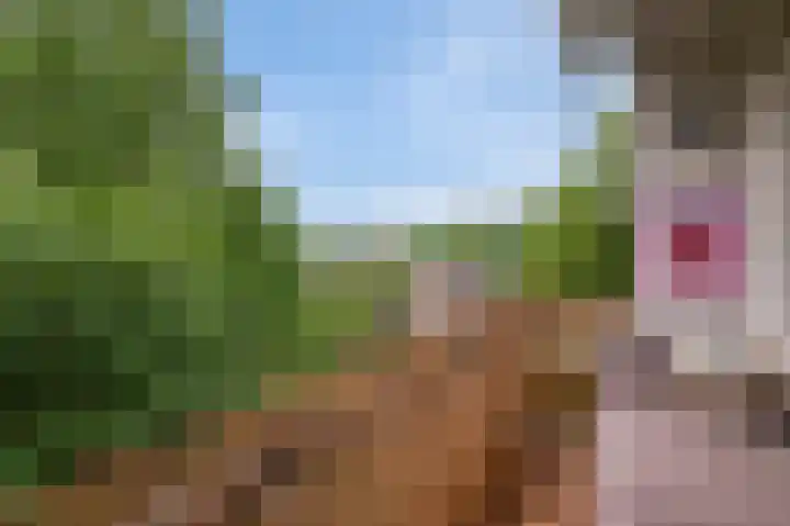 Porcellishof 50 Alkmaar thumbnail 26