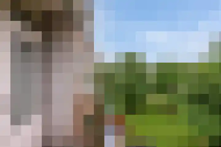 Porcellishof 50 Alkmaar thumbnail 27