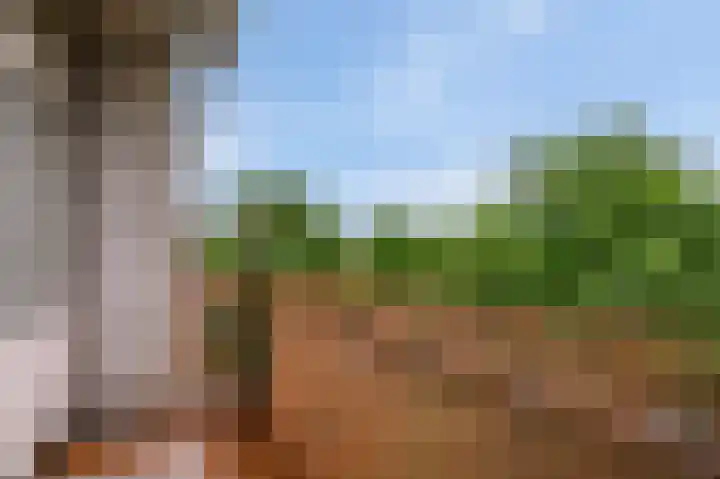 Porcellishof 50 Alkmaar thumbnail 28