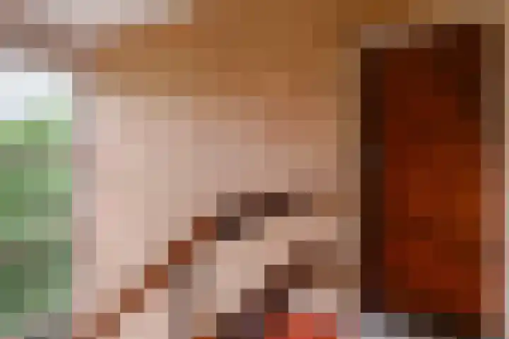 Porcellishof 50 Alkmaar thumbnail 29