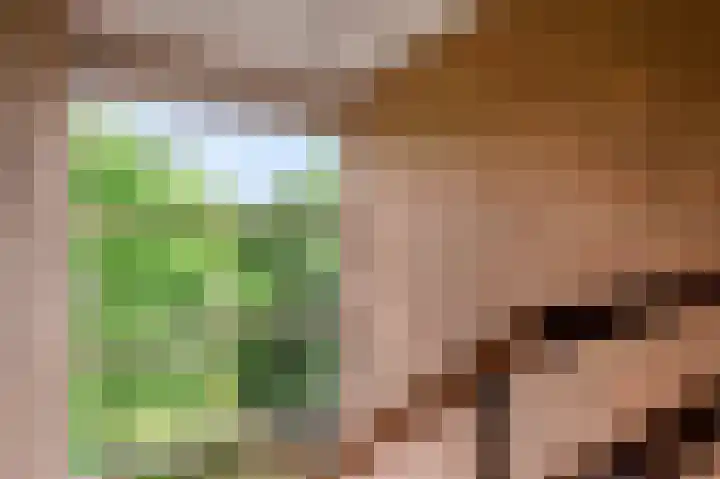 Porcellishof 50 Alkmaar thumbnail 30