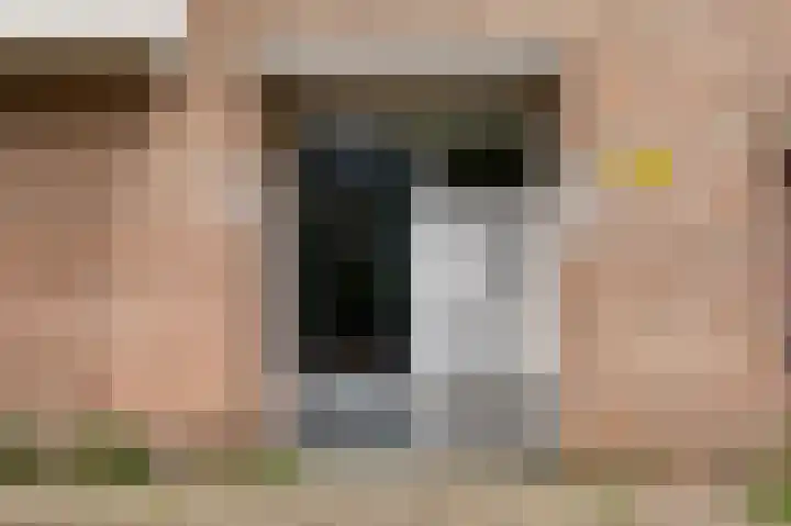 Porcellishof 50 Alkmaar thumbnail 31