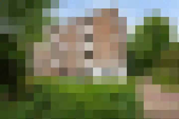 Porcellishof 50 Alkmaar thumbnail 35