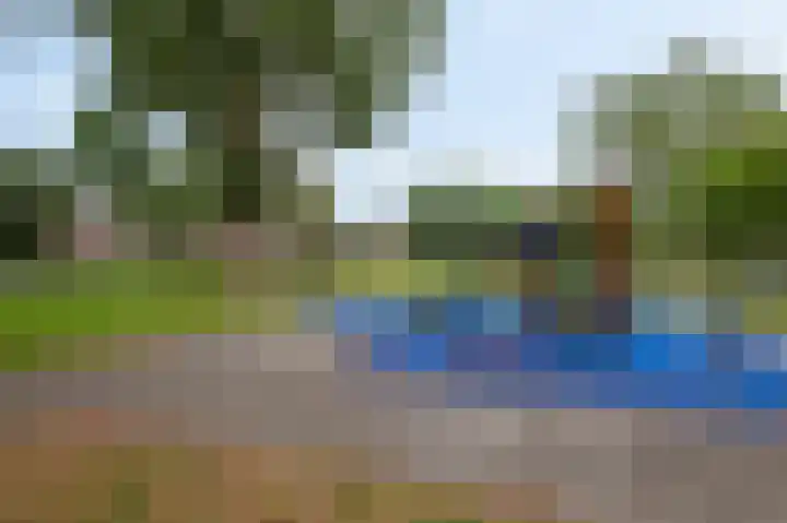 Porcellishof 50 Alkmaar thumbnail 36